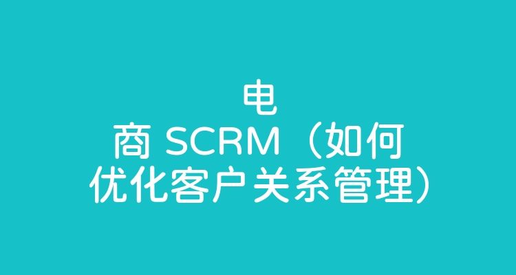 电商 SCRM（如何优化客户关系管理）